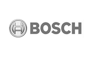 Bosch-1