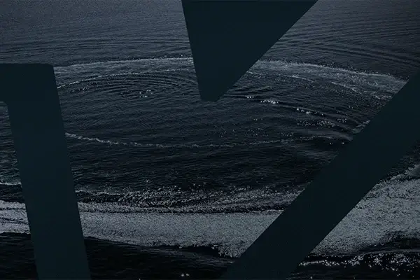 Mangusta-branding
