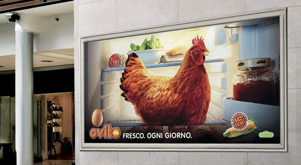 Ovito-campagna-stampa-e-affissione